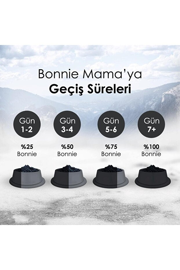 PatiliEv Bonnie Basic Biftekli Yetişkin Kedi Maması 10 Kg MamaPlus