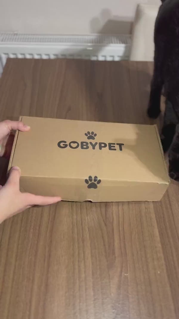 PatiliEv Ahşap Özel Isim Baskılı, Oval Kedi Köpek Mama Su Kabı Standı, Metal Suluk, Kedi Köpek Halısı