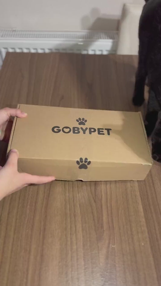 PatiliEv Ahşap Özel Isim Baskılı, Oval Kedi Köpek Mama Su Kabı Standı, Metal Suluk, Kedi Köpek Halısı